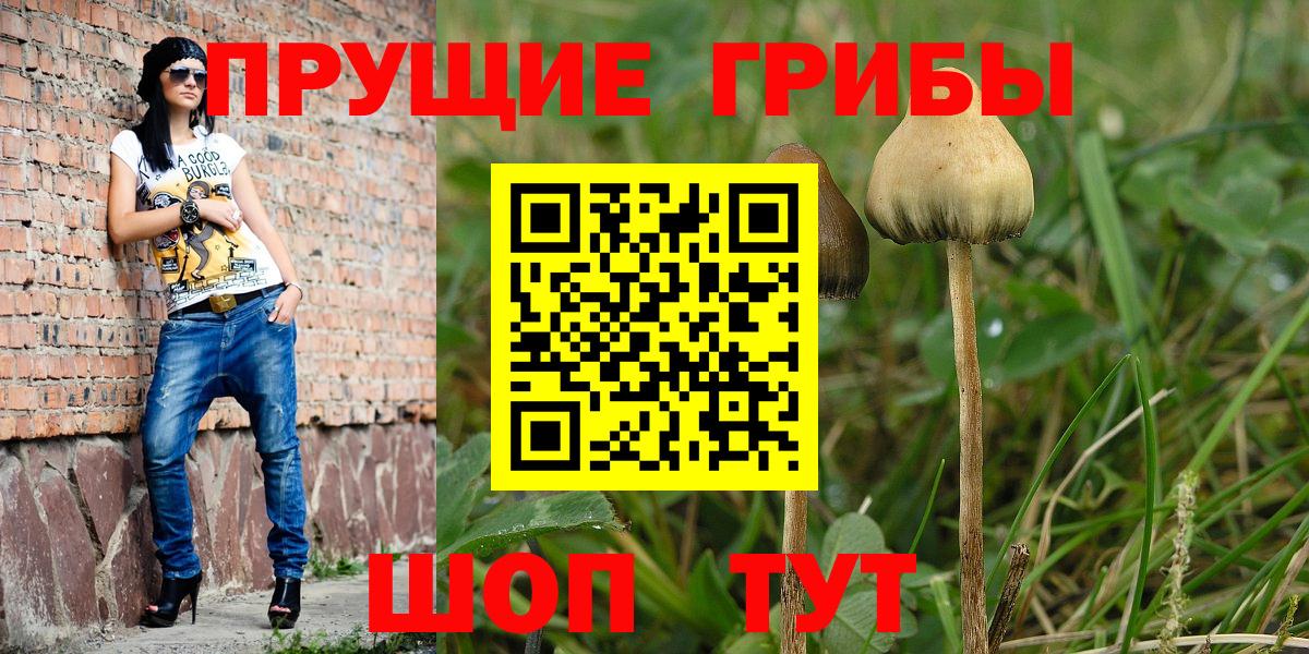 Галлюциногенные грибы Magic Shrooms Шарыпово
