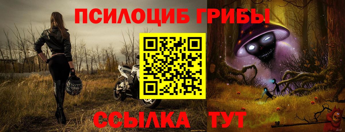 Галлюциногенные грибы прущие грибы  Вход с VPN  Шарыпово 